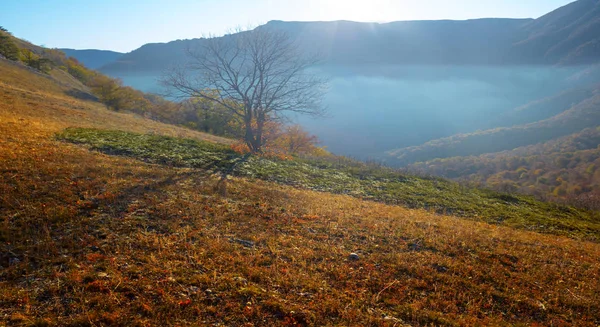 Valle Montaña Una Niebla Azul Madrugada — Foto de Stock