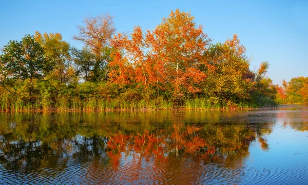 Tranquilo Otoño Escena Pequeño Lago Con Bosque Rojo Una Costa — Foto de Stock