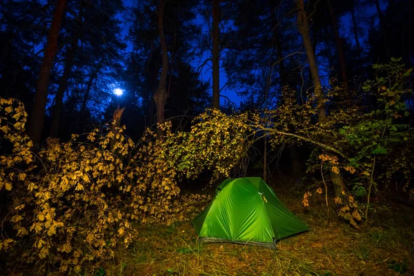 Noční Turistická Tábořiště Zelený Touristický Stan Podzimním Lese Noci — Stock fotografie