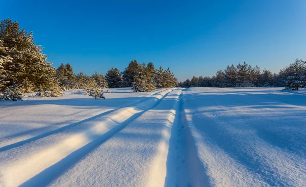 Invierno Llanura Nevada Con Pista Coche —  Fotos de Stock