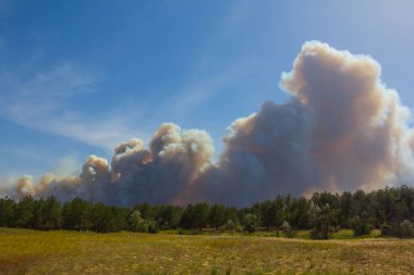 yanan orman, orman üzerinde yoğun duman bulutları, doğal felaket sahnesi, taiga, Rusya