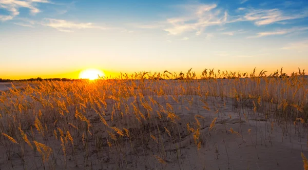 砂の草原の上に劇的な夕日 パノラマの屋外シーン — ストック写真