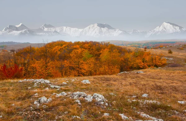 Roter Herbstwald Und Grasland Vor Einem Schneebedeckten Bergrücken Schöne Herbstliche — Stockfoto