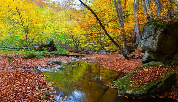 Mała Cicha Rzeka Górskim Lesie Jesienna Scena Pleneru — Zdjęcie stockowe