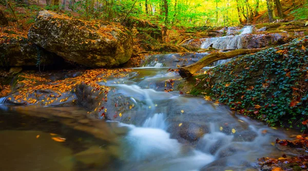 美丽的河流冲在石头和干燥的叶子之间 秋天的自然背景 — 图库照片