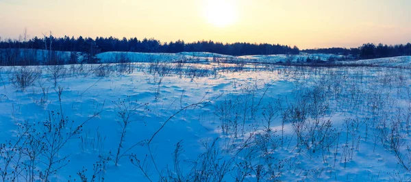 Winterebene Schnee Bei Sonnenuntergang Schöner Ruhiger Winterhintergrund — Stockfoto