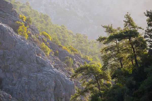 特写山坡在雾中清晨 土耳其 戈伊努克峡谷 — 图库照片