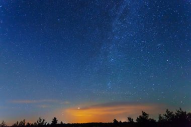 çayır silueti üzerinde gece yıldızlı gökyüzü, gece açık doğal arka plan