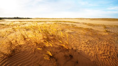 kumlu bozkırlar üzerinde güzel gün batımı, akşam açık sahne