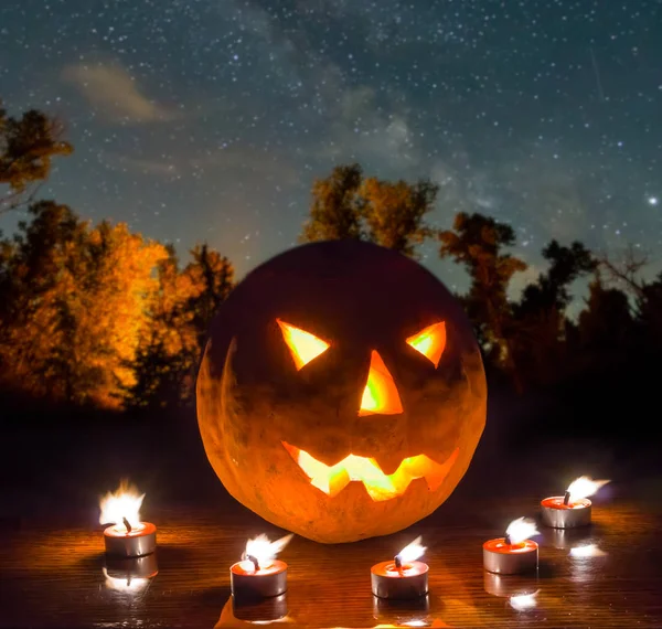 Halloween Night Scene Jack Lantern Pumpkin Arond Candle Night Forest — Stock Photo, Image
