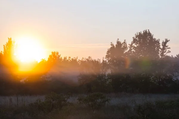 Ruhige Prärie Bei Sonnenaufgang Frühmorgendliche Outdoor Szene — Stockfoto