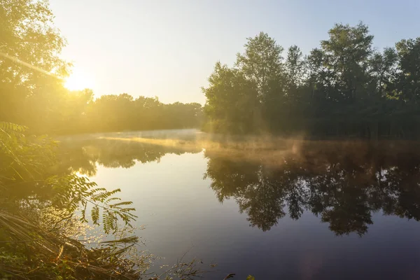 Tranquilo Río Verano Niebla Mañana Amanecer — Foto de Stock