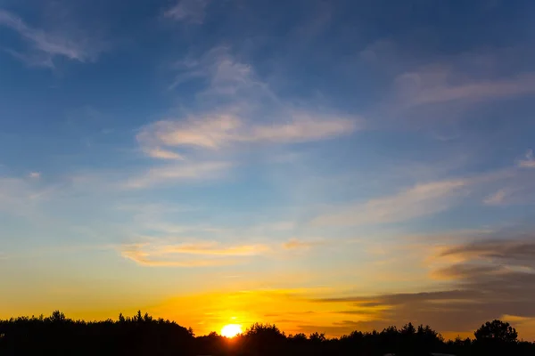 Dramatyczny Zachód Słońca Nad Leśną Sylwetką Naturalny Wieczór Odkryty Tło — Zdjęcie stockowe