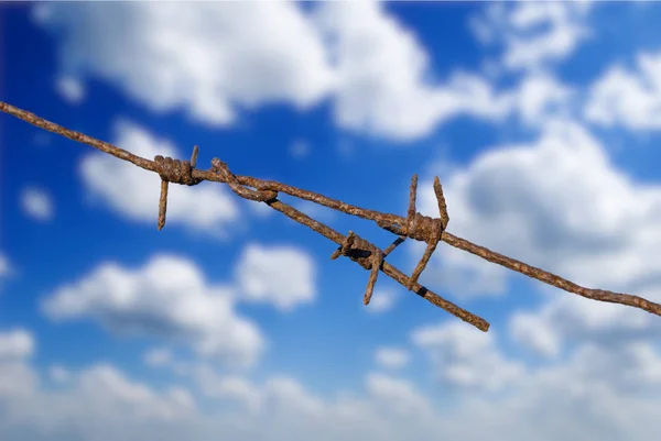 青い曇った空に古い錆びた有刺鉄線を閉じる 軍事戦争の背景 — ストック写真