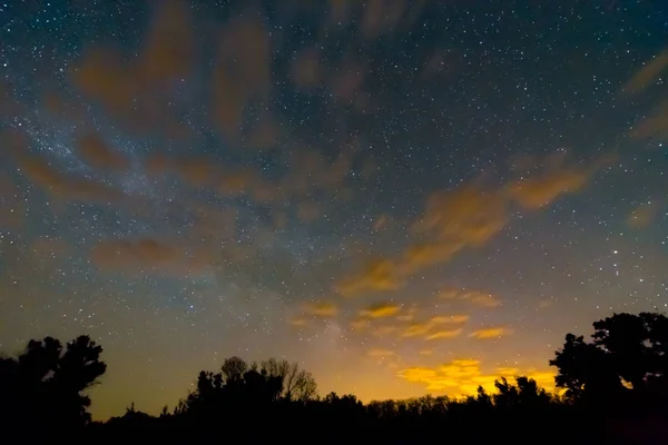 Noční Venkovní Scéna Lesní Silueta Krásná Zářící Hvězdnaté Nebe — Stock fotografie