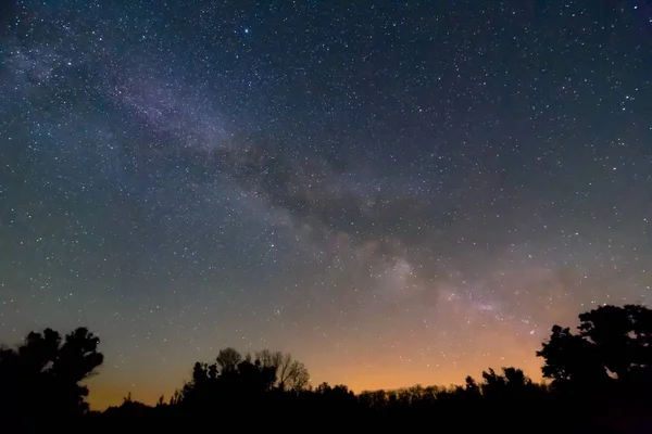 Noche Escena Aire Libre Silueta Del Bosque Hermoso Cielo Estrellado —  Fotos de Stock