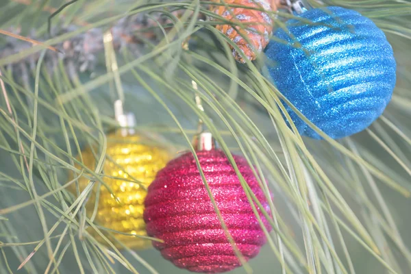 Zbliżenie Żywe Kolorowe Zabawki Christmass Gałęzi Drzewa Sosnowego — Zdjęcie stockowe