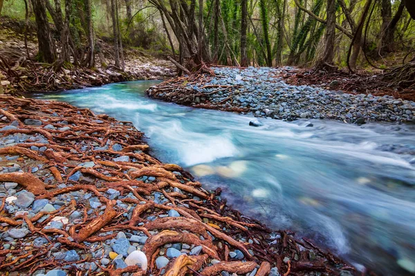 Řeka Řítí Mezi Lesy — Stock fotografie