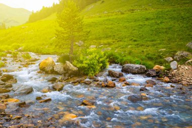 Parlak güneşli bir günde yeşil dağ vadisinde akan hızlı nehir.
