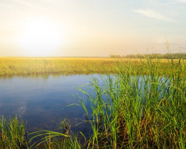 Gün batımında küçük sessiz çayır gölü, sakin arka plan