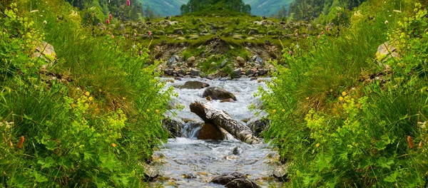 Río Corriendo Valle Montaña —  Fotos de Stock