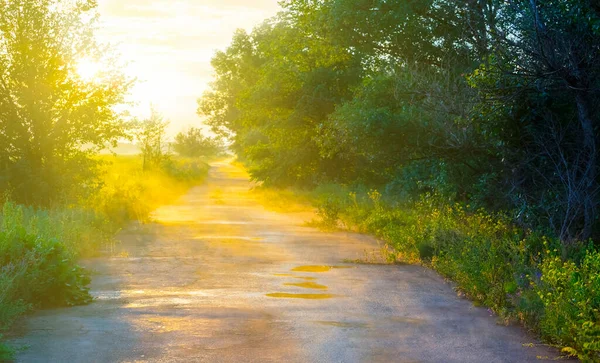 Мокра Асфальтована Дорога Після Дощу Заході Сонця Відкритому Фоні — стокове фото