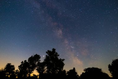 Bir orman siluetinin üzerinde Samanyolu ile yıldızlı gökyüzü, sessiz bir yaz gecesi geçmişi