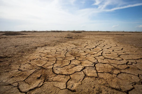 Hot Dry Cracked Earth Landscape — Stock Photo, Image