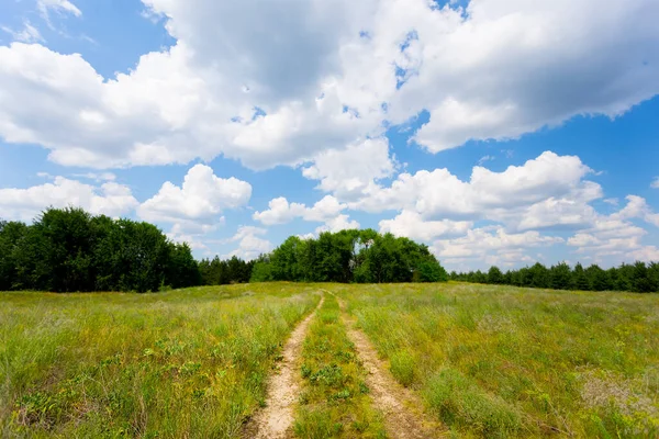 Strada Interrata Tra Una Prateria Verde Caldo Sfondo Concetto Estivo — Foto Stock