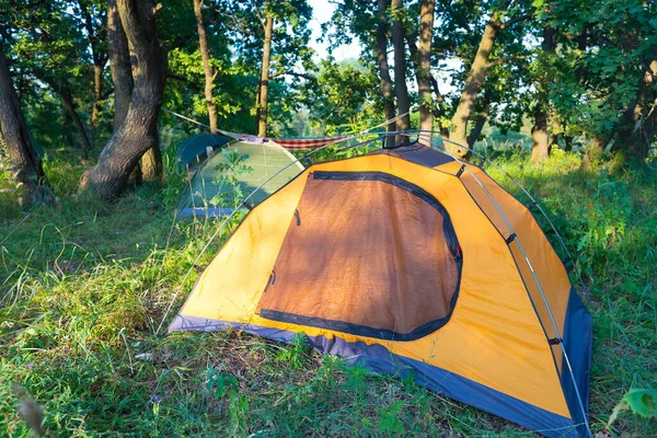 Acampamento Turístico Uma Floresta Cena Caminhadas Verão — Fotografia de Stock