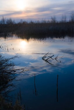 Gün batımında küçük göl sahnesini kapatın.