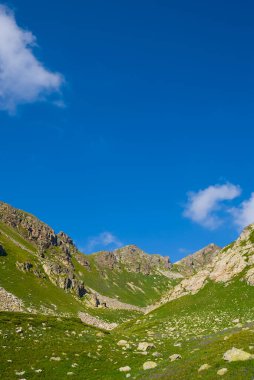 Yeşil dağ vadisi yaz manzarası