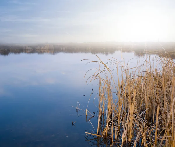Тихе Маленьке Озеро Сході Сонця Ранкова Сцена Відкритому Повітрі — стокове фото