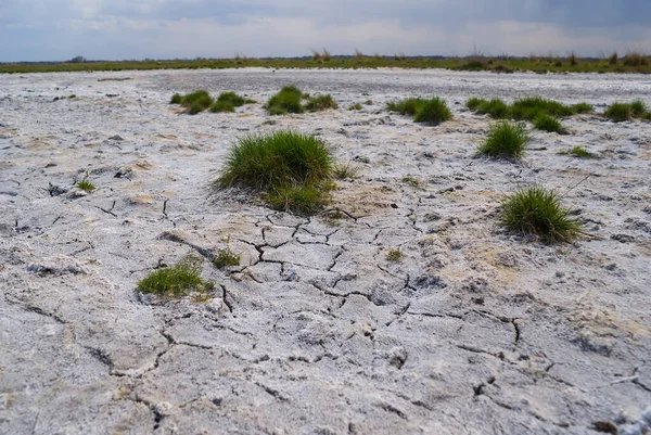 Dry Saline Empty Land Scene Natural Disaster Background — Stock Photo, Image