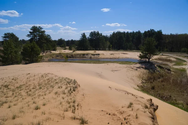 Sandy Prairie Landscape Hot Summer Ecological Calamity Scene — Stock Photo, Image