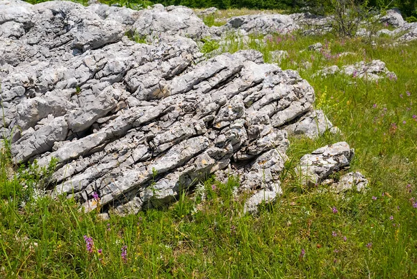 Oude Reusachtige Rots Liggen Een Gras Berg Vallei Scene — Stockfoto