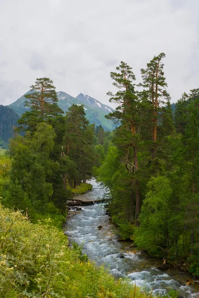 Flod Rusar Genom Grön Bergskanjon Utomhus Resa Expedition Scen — Stockfoto
