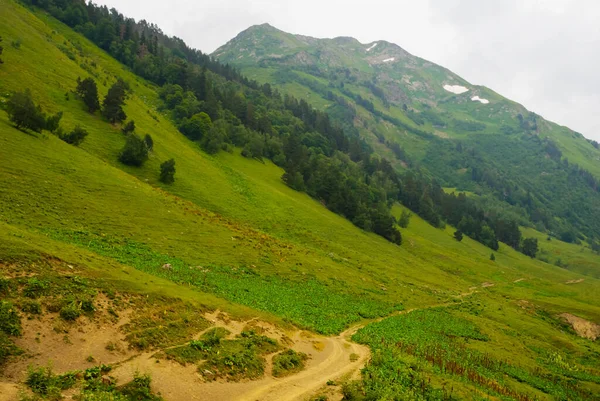 Bella Scena Verde Valle Montagna — Foto Stock