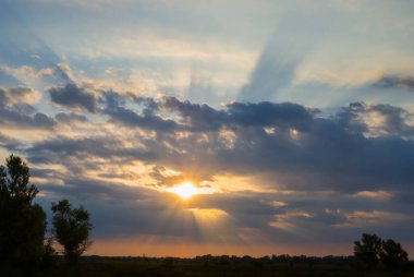 Bir çayırda dramatik bir gün batımı, yaz akşamı arka planı