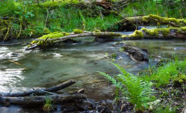 Yakın çekim dağ nehri, doğal manzara.