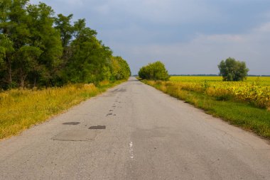 Yeşil tarlalar arasında asfalt yol, kırsal alan