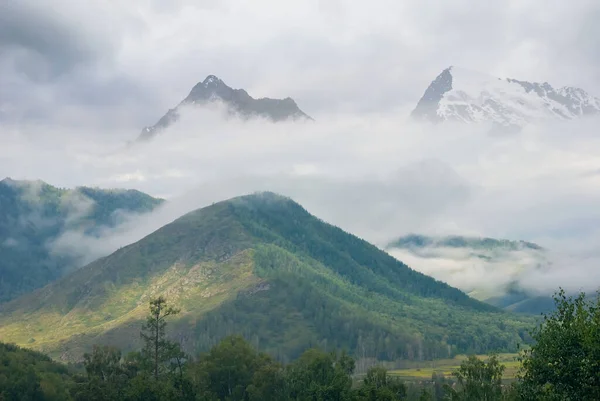 霧と雲の中の美しい緑の山の谷 — ストック写真