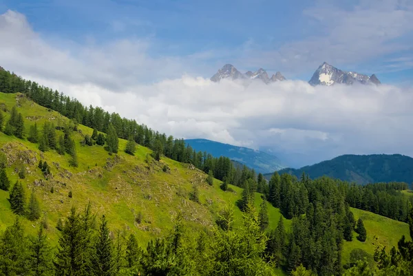 Beautiful Green Mountain Valley Dense Clouds Mist — Stock Photo, Image