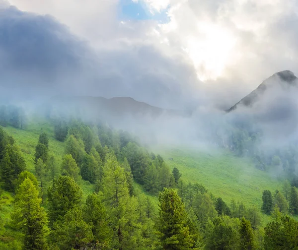 Schönes Grünes Gebirgstal Dichten Wolken Und Nebel Sonnenuntergangslandschaft Freien — Stockfoto