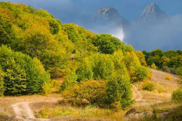 Syksyn Vuoristolaakso Maisema Metsä Rinteessä — kuvapankkivalokuva