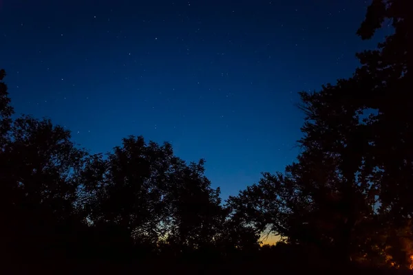 Silueta Del Bosque Fondo Cielo Estrellado Noche Escena Campamento Aire —  Fotos de Stock