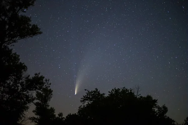 Cometa Neowise Cielo Notturno Sopra Una Silhouette Foresta Scena Notturna — Foto Stock