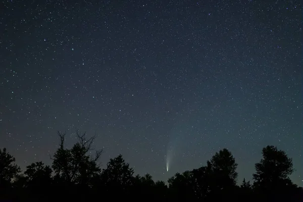 Comet Neowise Noční Obloze Nad Lesní Mýtinou Noční Venkovní Scéna — Stock fotografie
