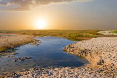 Gün batımında çayırda küçük bir su birikintisi