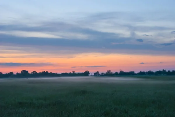 夕暮れ時の霧の中の田園地帯で — ストック写真